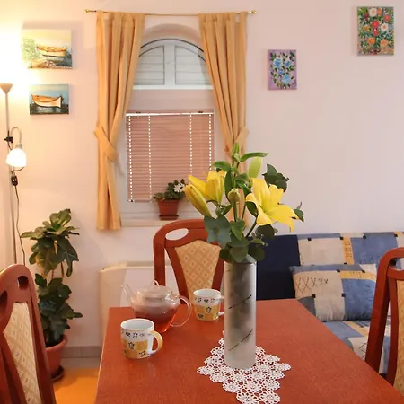 Stella * Τρογκίρ