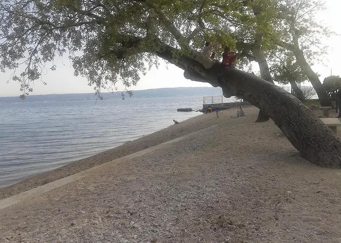 Stella Τρογκίρ